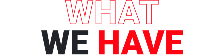 WHAT WE HAVE